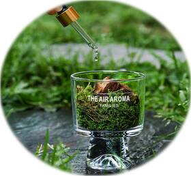 Xml-03 -03 Moss And Pine Plant Home Decor Long-lasting Essential Oil Diffuser Multiple Sc