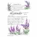 013-6pk Fresh Scents Scented Sachets Lavender Lot Of 6 671770000127