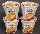 019912016542 Glade Pack Scent Gel Hawaiian Breeze Car Home