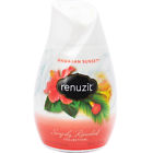 023400000630 Renuzit Hawaiian Sunset Scent Gel Air Cone