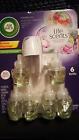 062338936277 Air Wick Life Scents Mystical Garden 6 Six Scented Oil Refills Warmer New