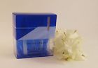 0667534195796 Bath Body Works Wallflower Single Pack Refills Fresh
