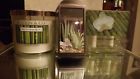 0667545280023 Bath Body Works Fresh Bamboo Candle Wallflower Bulbs
