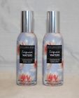 0667546374769 Bath Body Works Turquoise Waters Concentrated Room Spray