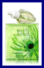 1 Wallflowers Home Fragrance Refill Bulbs White Citrus Pack 667535312956