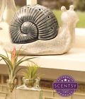 110637513 Scentsy Garden Snail Warmer