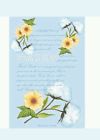 162-6pk Fresh Scents Scented Sachets White