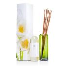 179278 Dayna Decker Botanika Essence