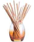 20-pack Joy Mangano Forever Fragrance Glass Vase 728109401541