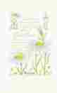 210-6pk Fresh Scents Scented Sachets Baby