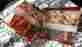 21098vb6 Wallflower Refill Bulbs Bath Body Works Harvest Gathering Refills New 2 X Boxes 4