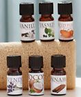 3050393 Afoyft Set Of Scented Aromatherapy Oils