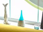 43865 Unbranded Essential Oil Diffuser 7103133843865