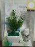 4776dg Bella Villa Living Aromatic Mini Planter Diffuser Lavender 840034147766