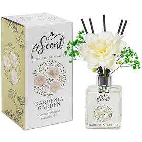 4scent 850022466144 Reed Diffuser Set 6.7 Fl Oz With Preserved Gypsophila Babys Breath And Artifi