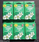 521 Money House Blessing Box Lot Jasmine Incense Cones 084121220042