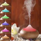 521769 Oil Mist Diffuser Humidifier 701231521769