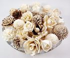 53603 Prima Place Aroma Pack 617916289797