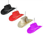 551 Alazco Cowboy Cowgirl Hat Western Air Freshener For 713228940330