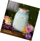 616241267333 Scentsy Warmer Chasing Fireflies