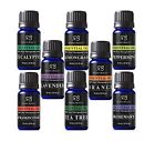 646437481878 Essentials Radha Beauty Aromatherapy Top Essential Oils