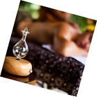 680474256396 Organic Aromas Nebulizing Pure