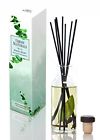 688039939104 Urban Naturals Eucalyptus Spearmint