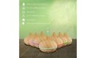 701142832756 Pure Daily Care Ultrasonic Aromatherapy Diffuser With Bottles