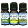 716670167331 Destination Oils Kitchen Oregano Rosemary And Lemon Therapeutic