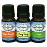 716670167423 Destination Oils Happyfoot Improve Your Emotions Essential Oil