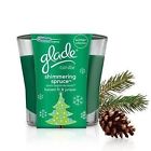 73514  Sc Johnson Wax Shimmering Spruce Scented Candle 787732621528