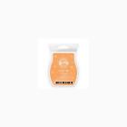748579520214 Scentsy Pumpkin Roll Scent 3.2