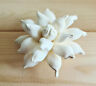 761994371995 Zonsgarden Blue Bird Succulent White Sola Wood Diffuser