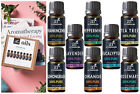 77231 Aromatherapy Essential Oils Pure 683711877231