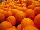 807425369503 Gemlite Com Orange Essential Oil All Natural Uncut