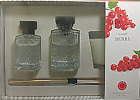 840797106536 Martha Stewart Currant Berry Room Diffuser Candle Spray