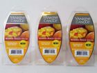 886860722555 Yankee Candle New Mango Peach Salsa Fragranced Wax