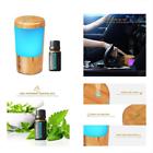 Ad313 Ml Peppermint Essential Oils Portable Auto Humidifier Usb Car Diffuser