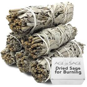 Age Of Sage 370301128681 White Smudge Sticks 4 Inch Long - Dried Incense Burning S