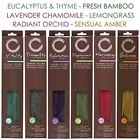 Amz-bs53737on-1-ea Hg Hosley 300 Pack 040338537373