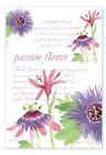 Amzfs200110s6 Freshscents Fresh Scents Scented Sachets Passion Flower Lot Of 6 671770006020