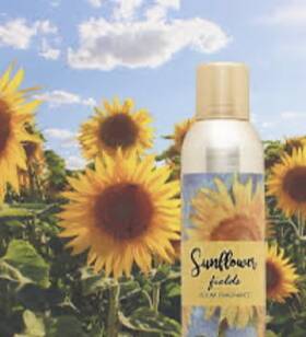 Ap Fragrance 756025170180 Sunflower Fields Home Spray 6 Oz By Room Scents
