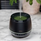 As07692 Sparoom Divine Essential Oil