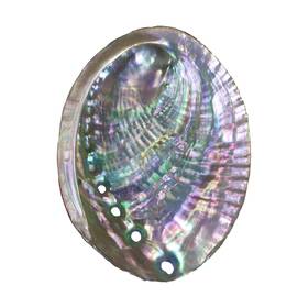 Shell-10 Bagspace 4-4.5 Inch Large Abalone Shell Bowl Natural Bulk Smudge