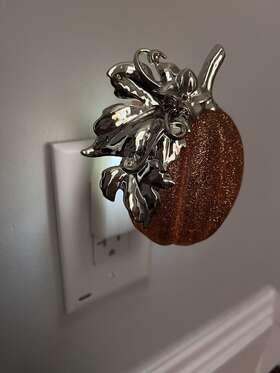 025129295 Bath & Body Works Wallflower Pumpkin Nightlight Plug