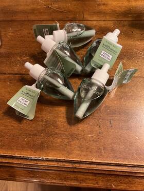 Bath & Body Works 667526063898 And Wallflower Fragrance Refill Bulb Fresh Balsam New Lot Of 5