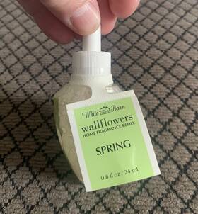 Bath & Body Works 667531670302 1 Decorative Bulb And Wallflower Plug Refill Scent Spring New