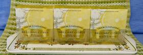 Bath & Body Works 667543404896 And Brilliant Citrus Odor Eliminating Wallflowers Fragrance 3 Pks