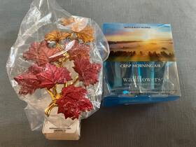 Bath & Body Works 667544601393 And Wallflowers Plug-in Diffuser - Maple Leaf Crisp Morning Air