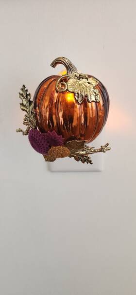 Bath & Body Works 667546846396 Pumpkin With Velvet Mums In Patch Wallflower Nightlight Plug And